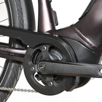 Giant Dailytour E+3 | 2025 - M - 3873KM