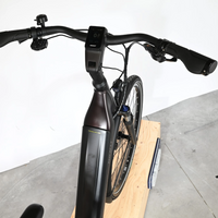 Giant Dailytour E+3 | 2025 - M - 3873KM