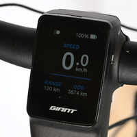 Giant Dailytour E+3 | 2025 - M - 3873KM