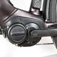 Giant Dailytour E+3 | 2025 - M - 3873KM