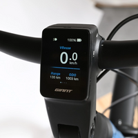 Giant Liv Allure E+2 | 2024 - XS - 1003KM