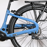 Giant Liv Allure E+2 | 2024 - XS - 1003KM