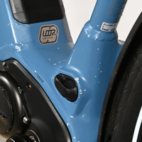 Giant Liv Allure E+2 | 2024 - XS - 1003KM