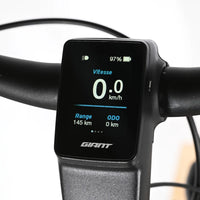 Giant Dailytour E+2D LDS | 2023 - M - 2140KM