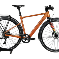 Bergamont E-Sweep Sport | 2024 - 49CM - 10KM