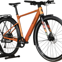 Bergamont E-Sweep Sport | 2024 - 49CM - 10KM
