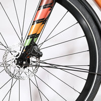 Bergamont E-Sweep Sport | 2024 - 49CM - 10KM