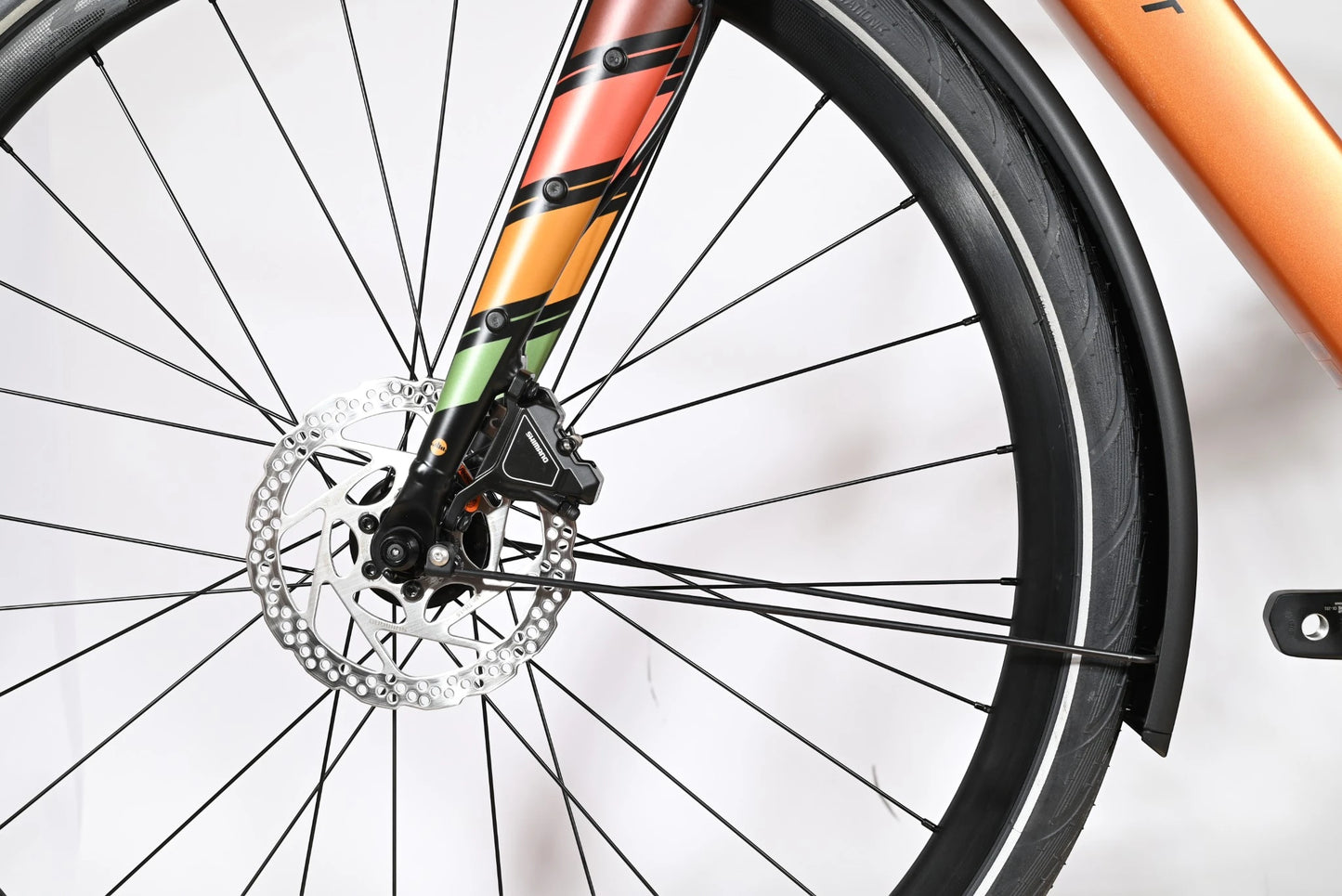 Bergamont E-Sweep Sport | 2024 - 49CM - 10KM