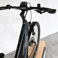 Pegasus Premio Evo 10 Lite | 2025 - XS - 2337KM