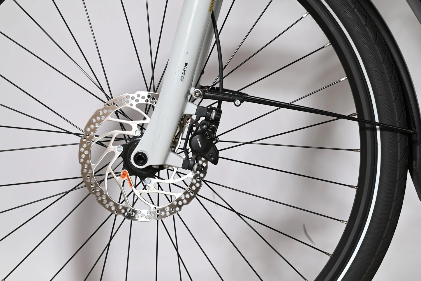 Pegasus Premio Evo 10 Lite | 2025 - XS - 2337KM