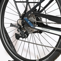 Pegasus Premio Evo 10 Lite 750 | 2023 - L