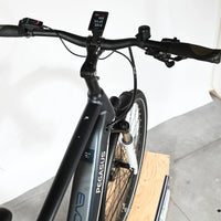 Pegasus Premio Evo 10 Lite 750 | 2023 - L