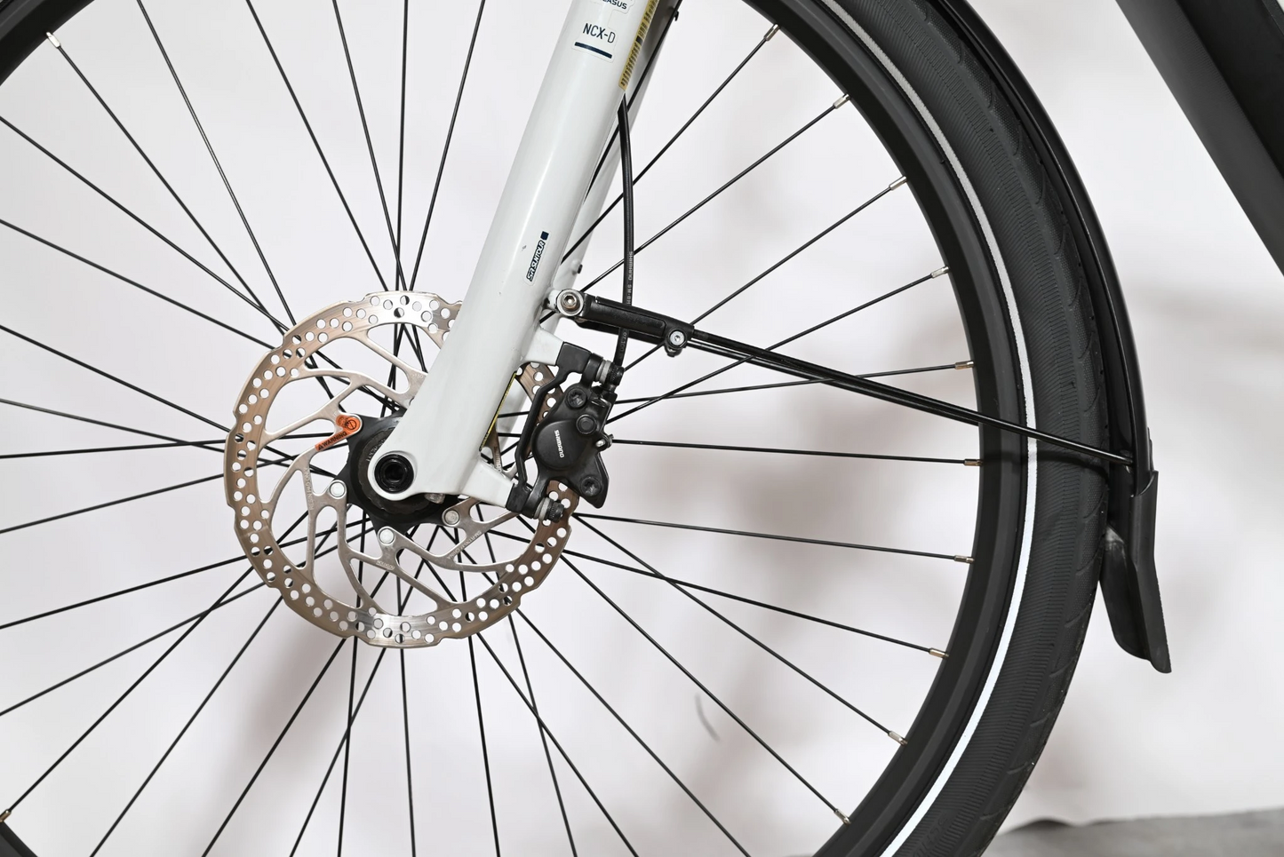 Pegasus Premio Evo 10 Lite 750 | 2023 - L