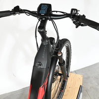Raymon CrossRay E 7.0 | 2023 - S - 1767KM