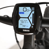 Raymon CrossRay E 7.0 | 2023 - S - 1767KM
