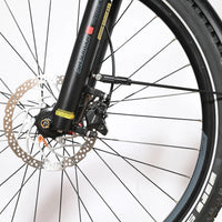 Raymon CrossRay E 7.0 | 2023 - S - 1767KM