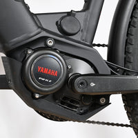 Raymon CrossRay E 7.0 | 2023 - S - 1767KM