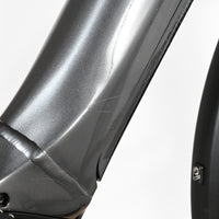 Giant Liv Amiti E+1 | 2023 - M - 756KM