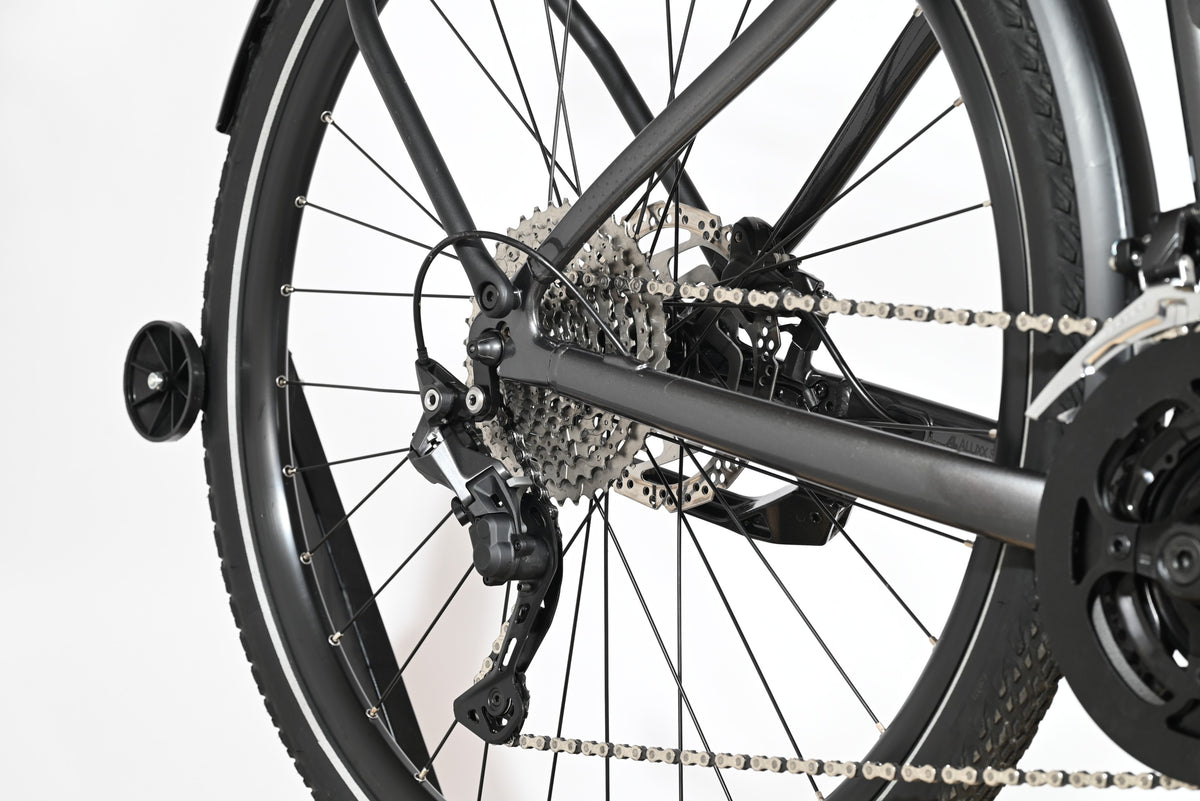 Giant Liv Amiti E+1 | 2023 - M - 756KM