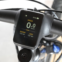 Giant Liv Amiti E+1 | 2023 - M - 756KM