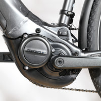 Giant Liv Amiti E+1 | 2023 - M - 756KM