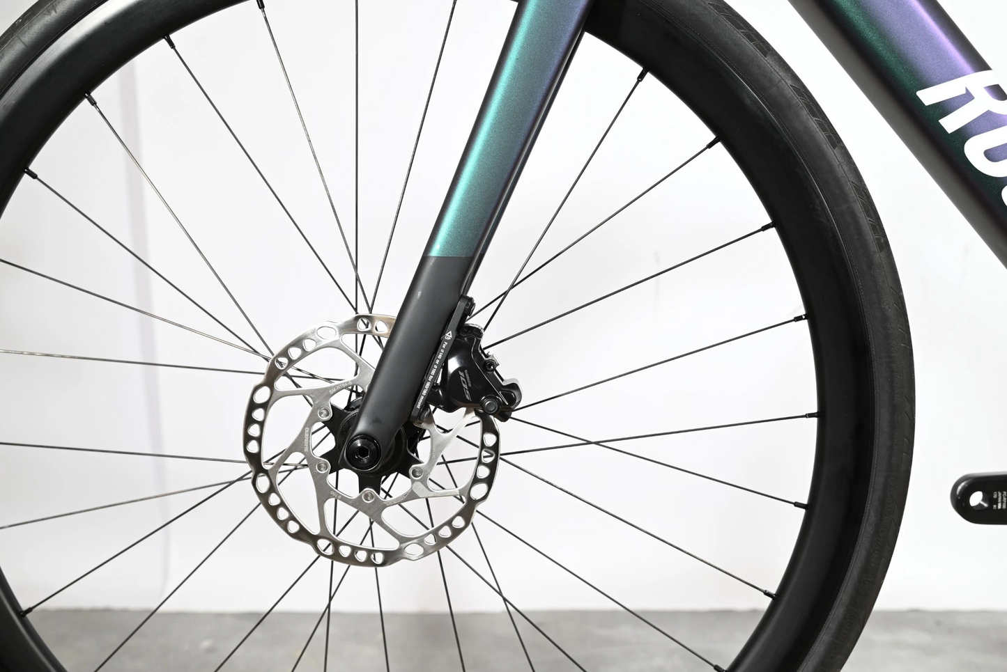 Rose Reveal Plus 105 | 2024 - S - 1142KM