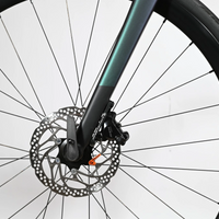 Rose Reveal Plus 105 | 2025 - XS - 815KM