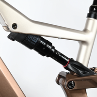 Focus Thron 6.8 ABS | 2025 - M - 1161KM