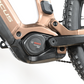 Focus Thron 6.8 ABS | 2025 - M - 1161KM