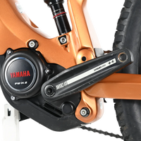 Haibike AllMtn CF 6 | 2023 - L - 1157KM