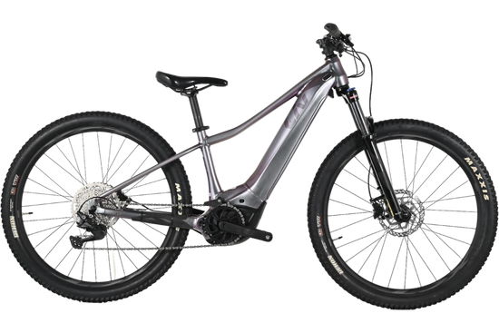 Giant Liv Vall E+ 2 | 2022 - XS - 220KM