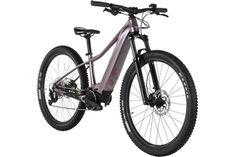 Giant Liv Vall E+ 2 | 2022 - XS - 220KM