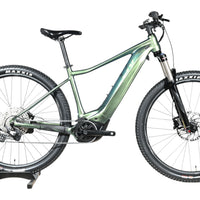 Giant Liv Vall E+1 | 2023 - M - 173KM