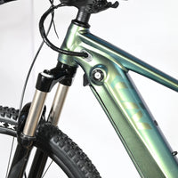 Giant Liv Vall E+1 | 2023 - M - 173KM