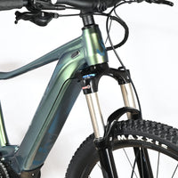 Giant Liv Vall E+1 | 2023 - M - 173KM