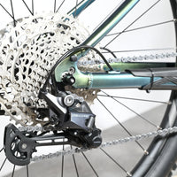 Giant Liv Vall E+1 | 2023 - M - 173KM