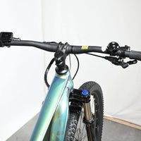 Giant Liv Vall E+1 | 2023 - M - 173KM