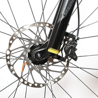 Giant Liv Vall E+1 | 2023 - M - 173KM