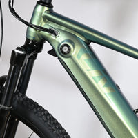 Giant Liv Vall E+1 | 2023 - M - 0KM