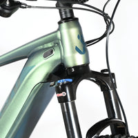 Giant Liv Vall E+1 | 2023 - M - 0KM