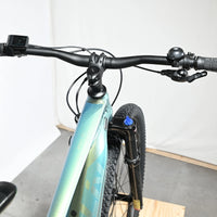 Giant Liv Vall E+1 | 2023 - M - 0KM