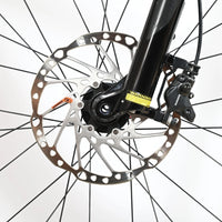 Giant Liv Vall E+1 | 2023 - M - 0KM