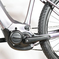 Giant Liv Vall E+2 | 2022 - S - 867KM