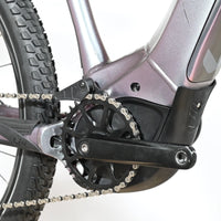 Giant Liv Vall E+2 | 2022 - S - 867KM