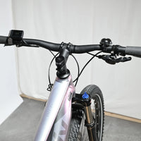 Giant Liv Vall E+2 | 2022 - S - 867KM
