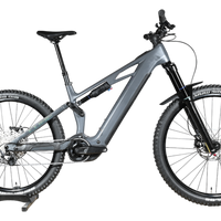 Cube Stereo Hybrid ONE77 HPC Race | 2025 - L - 370KM
