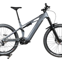 Cube Stereo Hybrid ONE77 HPC Race | 2025 - L - 384KM