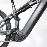 Cube Stereo Hybrid ONE77 HPC Race | 2025 - L - 384KM