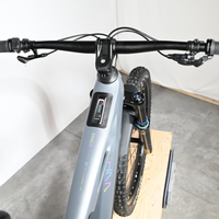 Cube Stereo Hybrid ONE77 HPC Race | 2025 - L - 384KM