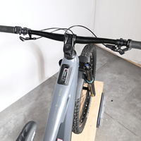 Cube Stereo Hybrid ONE77 HPC Race | 2025 - S - 382KM